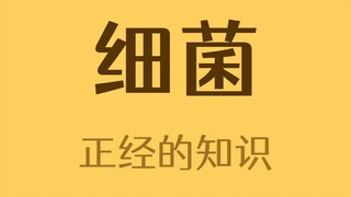 Vi khuẩn có thể nhìn thấy bằng mắt thường