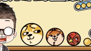 Pantas saja pasukan rock elektronik begitu gila dan mengolok-olok saya setiap hari! Ternyata aku bis