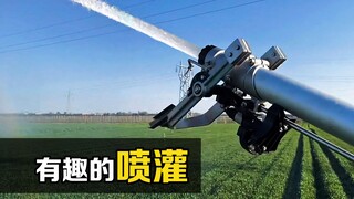 Why do sprinkler heads keep knocking when irrigating farmland? The principle is amazing!