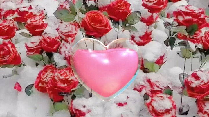 Ngày 14 tháng 2 là ngày gì?