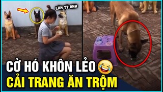 Tổng Hợp Clip HÀI ĐỘNG VẬT Không Cười Không Lấy Tiền P3 | GÓC LẦY LỘI OFFICIAL