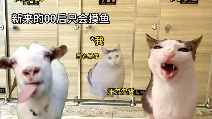 [Cat Meme] Hearing a coworker badmouth you while on a paid bathroom break
