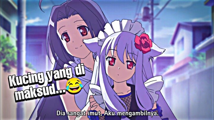 Ketika Kaka Lu Gak Sengaja Mungut Kucing...😂