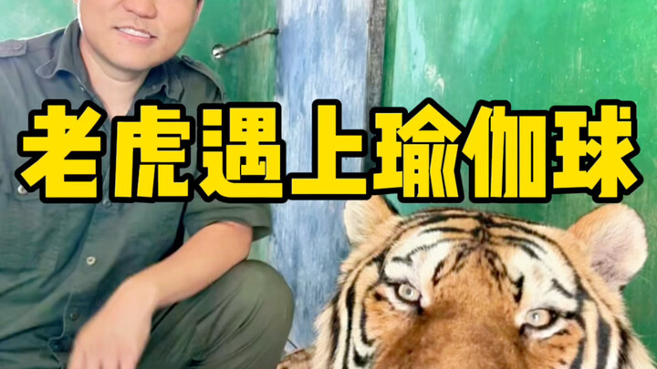 ลูกนี้เจ้านายยังคืนเงินให้ฉันได้ไหม?