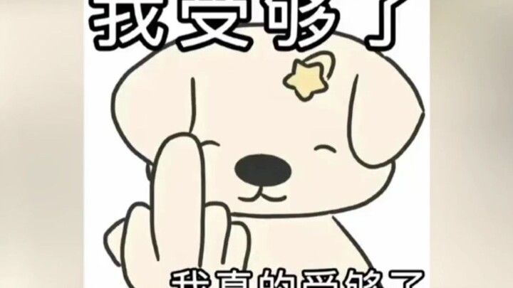 Henanese: I’m done for! Who set this trap for me? #LaughEveryTime #NeverSawThisComing #HenanDialect