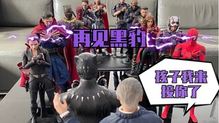Tạm biệt Black Panther!
