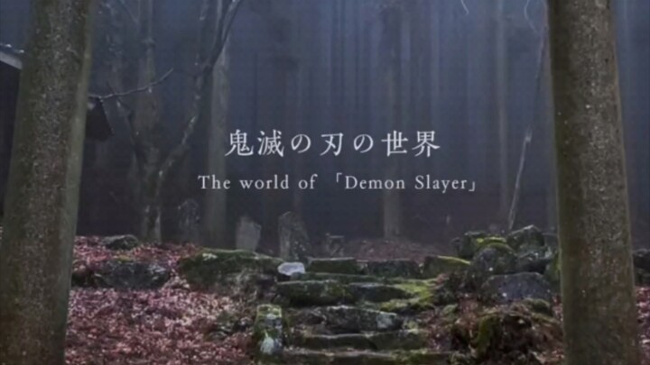 Take You to Experience the Natural World of Demon Slayer