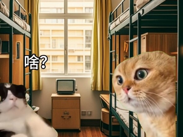 เมื่อคุณเลือกสาขาที่ไม่ค่อยมีคนเรียนแล้วหาคนรับจ้างเขียนงานแทน