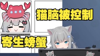 甘城猫猫被控制啦~螃蟹猫~喵喵喵
