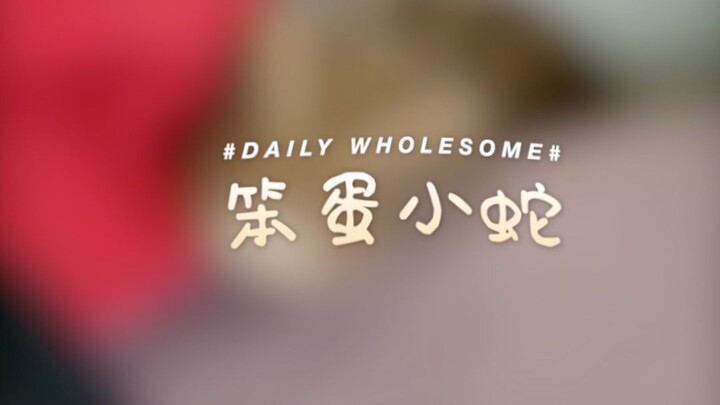 Clumsy little snake, so cute 🥺