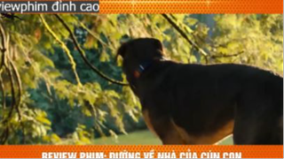 đường về nhà của cún con p3 #reviewphimdinhcao