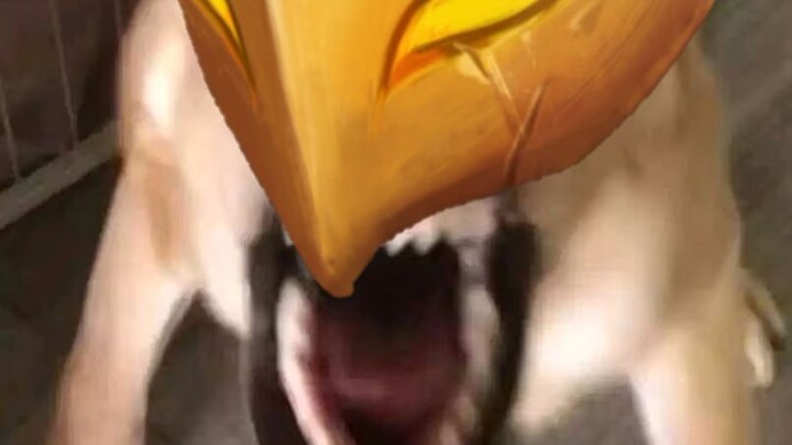 If only the bite attack is released.