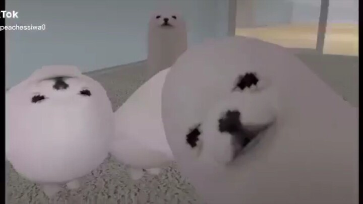 mi pa zu zu zu meow meow meow