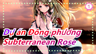 Dự án Đông phương|Subterranean Rose_1