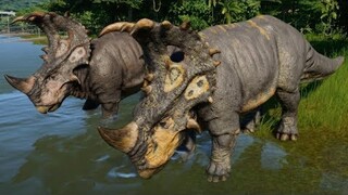 Jurassic World Evolution - 2 Sinoceratops & 2 T-Rex Breakout & Fight! (1080p 60FPS)