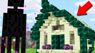 อาศัยอยู่ในบ้าน Minecraft Enderman