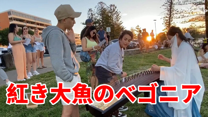 Playing the Zheng by the Sea | "Big Fish & Begonia"