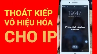 cách thoát iphone bị vô hiệu hóa màn hình