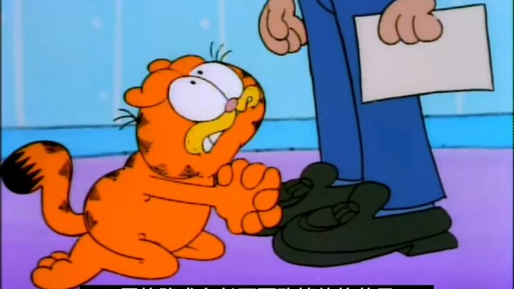 为了收视率，加菲猫也是拼了呀！