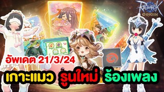 อัพเดตใหญ่!! เกาะแมวมาแล้ว + รูนใหม่เพียบ + กิจร้องเพลงและอื่นๆ l Ragnarok Origin