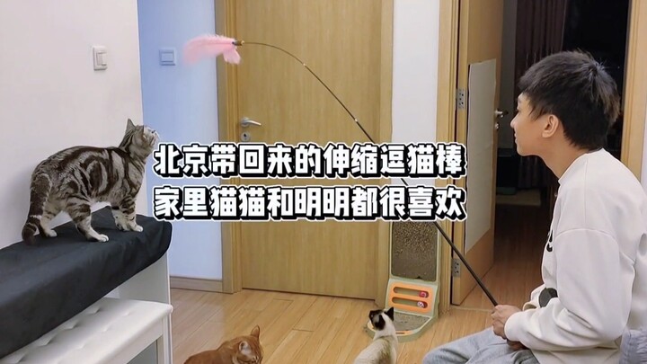 Ming and the cat’s daily routine upon returning home in Hangzhou (forgot to post this stash from the