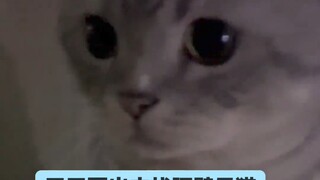 Orang itu benar-benar tidak tertarik padamu