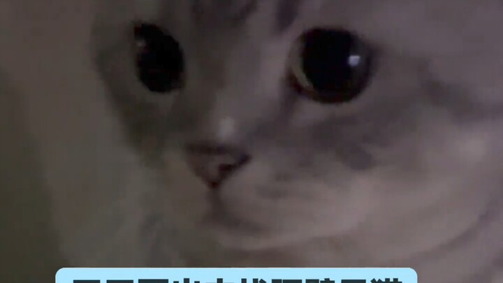 人家真的没看上你