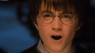 Who made the black-haired, blue-eyed savior angry again?! The kitten with a chubby face rolling his 