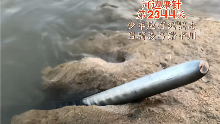 Mengasah Jarum di Tepi Sungai Hari ke-2344