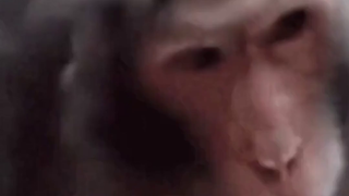 Mongolia joins NATO? The whole internet is buzzing, and China and Russia swiftly take action.