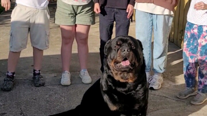 Встреча друзей