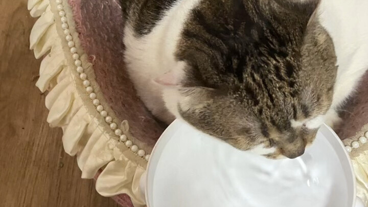 Air tetap harus diminum.