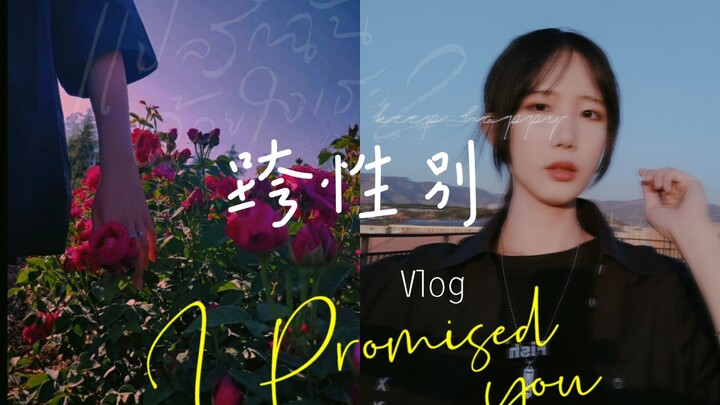 [Vlog transgender] Taman Mawar Universitas Yunnan jadi trending topik! (dan curhatan tentang arsitek