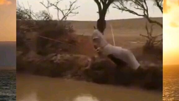 Lý do con trai hay nằm hòm sớm😏