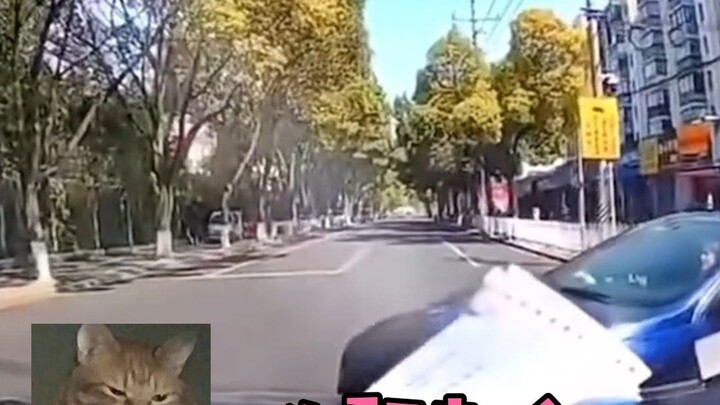 Anh cả: Tôi thực sự đã nhường cậu ấy rồi mà! Chỉ là đột nhiên phanh bị hỏng ngay lập tức.......