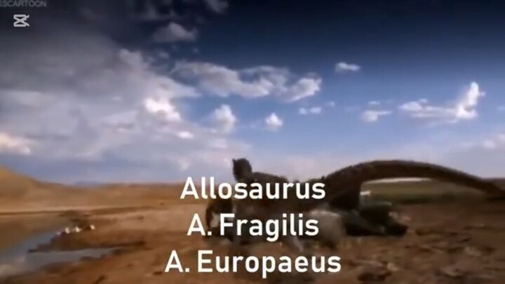 Allosaurus Tribute Awake