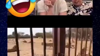 Lions_Are_Muslim😁