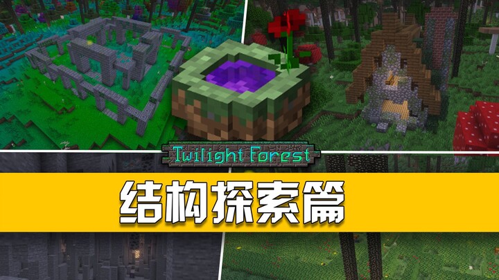 Take you back to childhood classics! A brand-new walkthrough of the Twilight Forest—Structural Explo