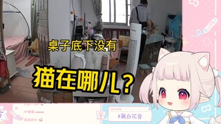 白菜急坏了：哥哥！猫在你后面啊！！你快看啊！！在左边！