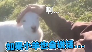 死手快动啊！！😭
