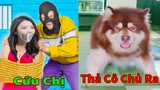 Thú Cưng TV | Gấu Alaska Gia Gia #23 | chó thông minh vui nhộn | Pets funny cute smart dog