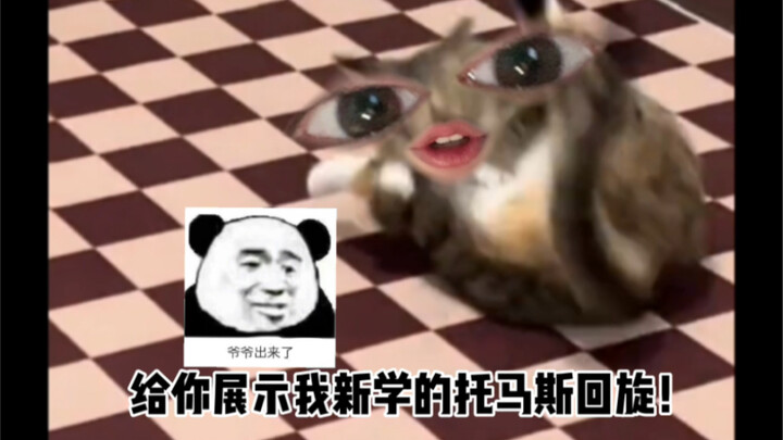 《我家猫会托马斯回旋》