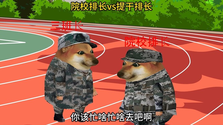 院校排长vs提干排长