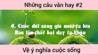 Những câu văn hay về ý nghĩa cuộc đời