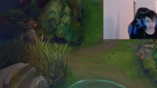 Current status of our jungler