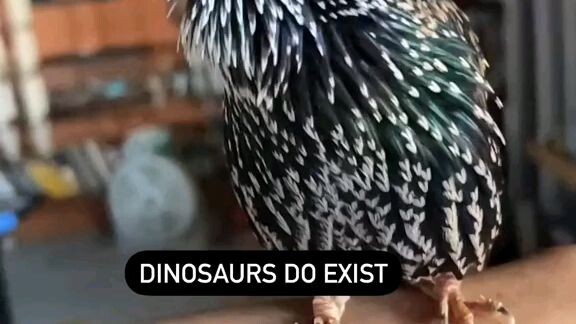 dinosaur do exist