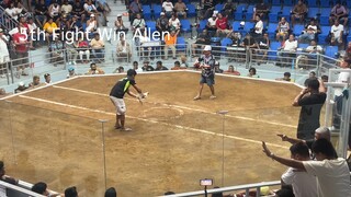 6 Stag Derby Finals CHAMPION