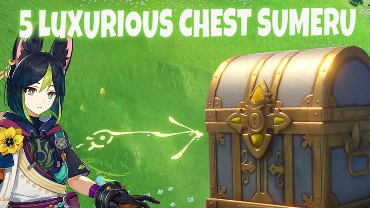 Sudah pada Ambil ?? 5 Luxurious Chest Sumeru - Genshin Impact v3.0