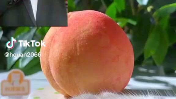 Những cái tên ối dồi ôi luôn