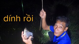 Tư Cà Khịa Ra Đồng Cắm Câu Đêm Không Ngờ Dính Nhiều Cá Đến Vậy
